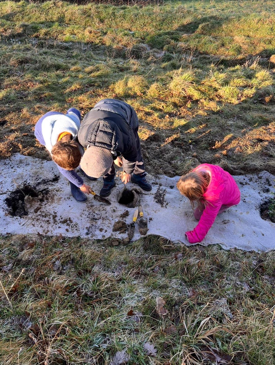 Enfants plantant un jeune plant de haie champêtre à Labassère dans les Hautes-Pyrénées