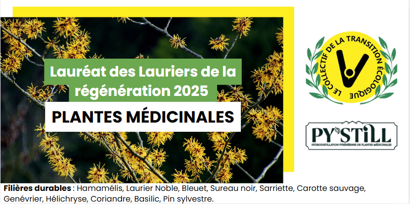 Visuel PY’STiLL annonçant le prix de lauréat dans la catégorie Plantes médicinales aux Lauriers de la Régénération.